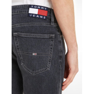 JEANS Tommy Hilfiger DM0DM1741100000